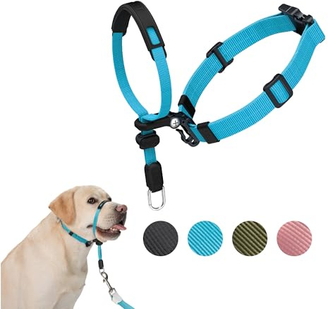 SVD.PET No-Pull Dog Headcollar for Easier Walks, Chew-Proof Protector to Increase Comfort, Simple Design, Easy to Wear and Adjust (Large Size for Medium and Large Size Dogs, Sky Blue)