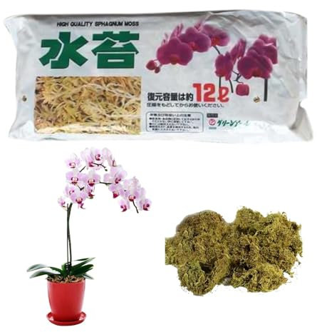 Musgo Sphagnum orgánico – Musgo natural seco para jardines de orquídeas | Musgo de orquídea Phalaenopsis para macetas sin tierra, bonsáis y plantas en macetas | Nutrición hidratante, sustrato ideal pa