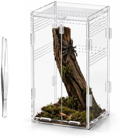 SCBOY akrylterrarium för hoppspindlar med pincett 12×12×20 cm För reptiler och amfibier spindlar ödlor skalbaggar grodor och insekter m.m
