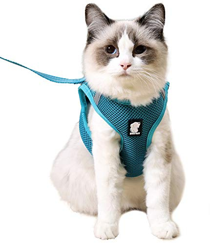 HEYWEAN Cat Harness and Leash - Ultra Light Escape Proof Kitten Collar Cat Walking Jacket with Running Cushioning Soft and Comfortable Suitable for Puppies Rabbits