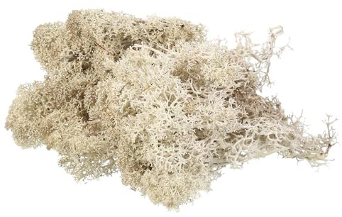 QUARKZMAN 3,5 OZ Muschio Finto per Artigianato, Muschio Artificiale Naturale Preservato per Progetti Artigianato Floreale Fai Da Te Decorazione Pareti Matrimoni Giardini (Cachi Chiaro)