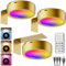 RGB Rechargeable Picture Lights for Wall, Gold 2600mAh Battery Operated Picture Frame Light Wireless Magnetic LED Art Lights for Paintings Stick On Display Cabinet Puck Light with Remote for Poster