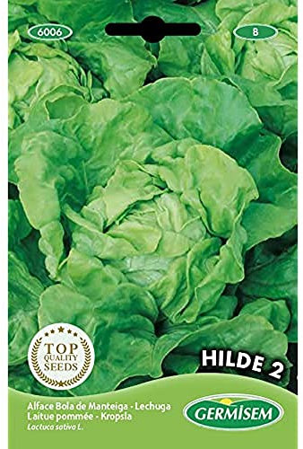 Germisem graines Laitue pommée HILDE 2