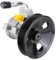 25980805 Servopumpe hydraulische Lenkung, kompatibel für Chevrolet Captiva Opel Antara 2.0L 2006–2011, Diesel Servolenkungspumpe mit Riemenscheibe 25980806 96942299 4803416 4814340 4814129 4811458