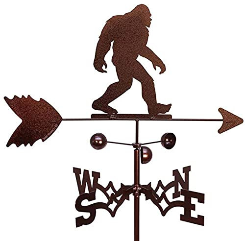 WDWDW Banderuola da Giardino, banderuola in Metallo a Forma di Gallo, banderuola da Giardino in Ferro, Decorazioni per la casa, Ornamenti, Decorazione, banderuola a Forma di Gallo