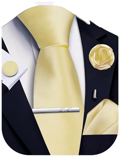 Ailisus Juego de corbata y pañuelo de bolsillo, corbata sólida, gemelos, pin de solapa, clip de corbata, para hombre, 5 piezas, para bodas, negocios, champán, Taille unique