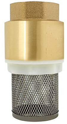 Valvula retencion 1/2 3/4 1 1-1/4 1-1/2 2 2-1/2 3 pulgada - valvula antiretorno agua con filtro valvula retencion para bomba (1 pulgada)
