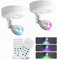 LED Wireless Spotlight,Uplighting Indoor Battery Powered 13 Colour,Puck Lights with Remote Ambient Decoration,Timed Dimmable Spotlight with Rotatable Head for Wall Display Plants Artwork Closet White