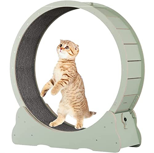 BCJMKDX Rueda para Gatos. Rueda de Correr Redonda Grande for Gatos, Ideal for Ejercicio en Interiores Mascotas pequeñas y Medianas, XL-Verde