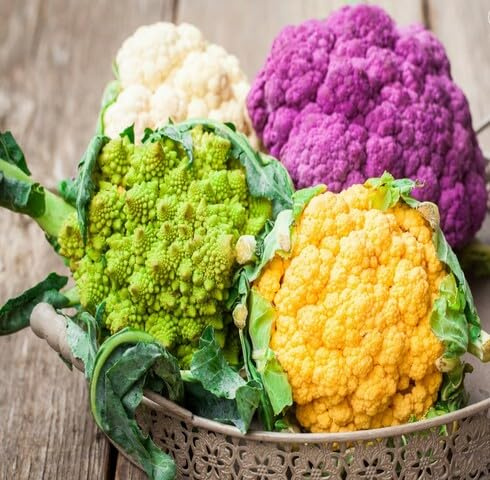 100 semi di ortaggi misti di cavolfiore freschi