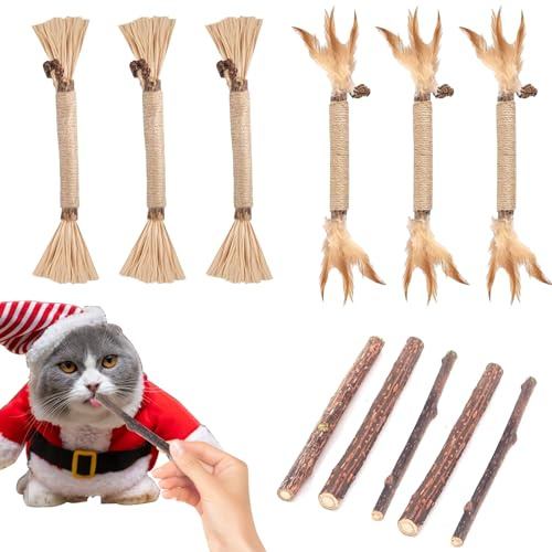 11 bitar kattgrässtavar, kattkattpinnar set, kattgräspinnar, kattunge tandleksak, tuggpinnar, kattleksaker för katter, inomhus kattpinnar