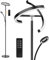 ANTENLICHT Stehlampe LED Dimmbar|Schwarz Stehleuchte 20W mit flexibler 7W Leselampe| Modern deckenfluter mit fernbedienung mit 4 Farbtemperatur für Wohnzimmer, Schlafzimmer, Büro, Hotel