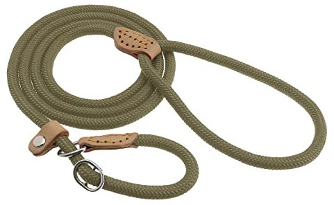 VGOL Hundeleine Schlupfleine Trainingsleine Haustier Geschirre Leinen Starkes Geflochtenes Seil für Große Mittelgroße Hunde Kleine Welpen Beige