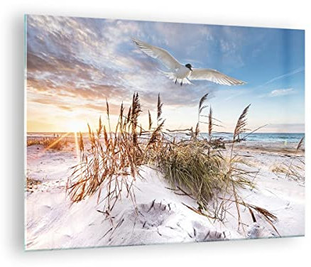 ARTTOR Vidrios decorativos Gaviota Mar Costa Cuadro Sobre Vidrio Moderno 70x50cm Decoracion Salon Dormitorio Cocina Cuadros Pared Impresiones Impresión en Cristal Wall Art Prints Decor GAA70x50-4902
