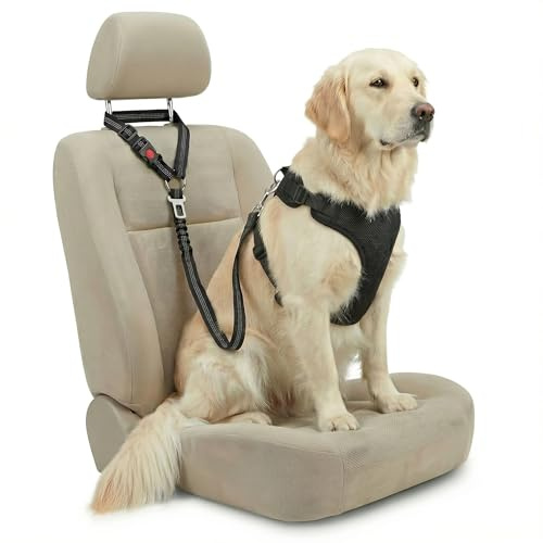 Barpre Dog Seat Belt for Car Headrest & Seatbelt Clip - Anti Shock Elastic Bungee Dog Car Harness Lead - Dual Attachment Adjustable Reflective Safety Restraint for Puppy Small Large Dogs (Black)