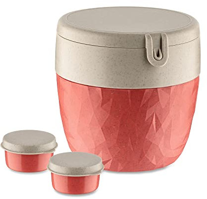 BENTOBOX L Bentobox nature coral