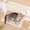 Petlex Cat Radiator Bed, Cats Heating Bed Cat hammock Radiator, Cosy Pet Radiator Bed for Cats, Strong Metal Frame and Washable Removable Cover, Beige