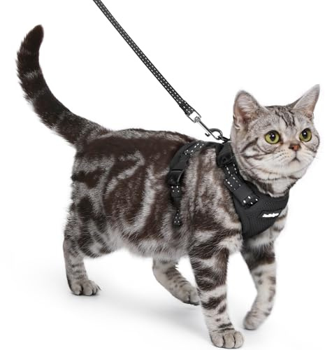 rabbitgoo Cat Harness and Leash, Escape Proof Vest with 3 Adjustable Buckles, Soft Comfortable Kitten Harness, Easy to Wear, Reflective for Safe Outdoor Walking, Small, Black