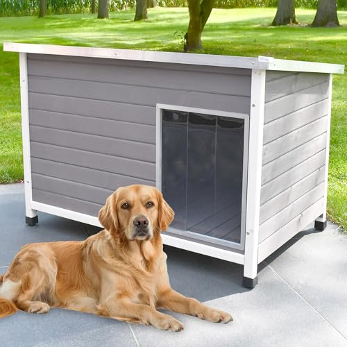 zooprinz Exklusive Hundehütte Jacky – aus wetterfestem & massivem Holz mit Metallrahmen, Dach zum Öffnen, Lamellentür & Kunststofffüßen – Hundehütte für Indoor und Outdoor (Hellgrau, XL)