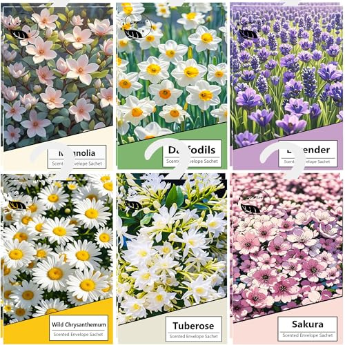 12pcs Profuma Armadio Vestiti, Profumatori Armadio e Cassetti, Profumatore Auto, Profumo Aromi Sacchetti Lavanda Profumati per Armadio Cassetti Armadietti, Scarpiera Deodorante Armadio (misto)