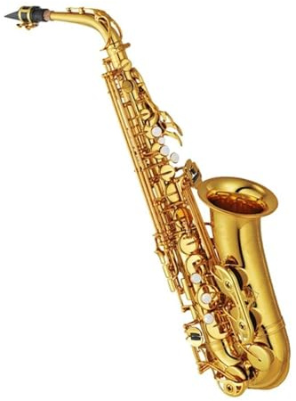 Professionell Saxofon Altsaxofon Eb instrument Med Fodral