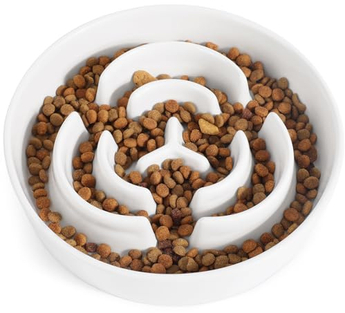 PETTOM Ciotola Anti Ingozzamento Cane Ceramica, Ciotole per Cani Anti Ingozzamento Ø 21cm, per Cani di Taglia Grande, Media e Piccola