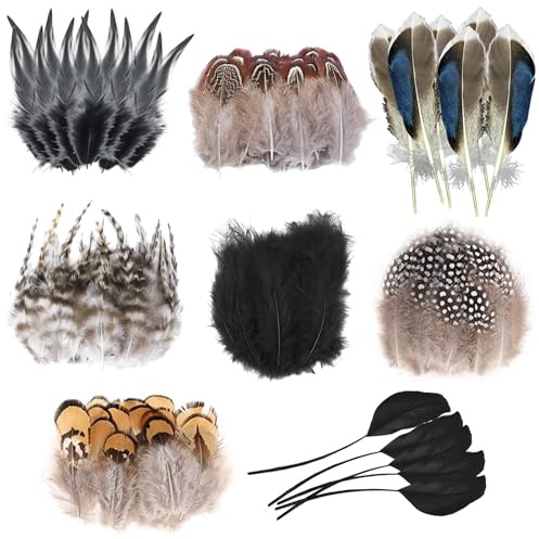 160 Plumas para Manualidades, 8 Estilos Plumas Decorativas