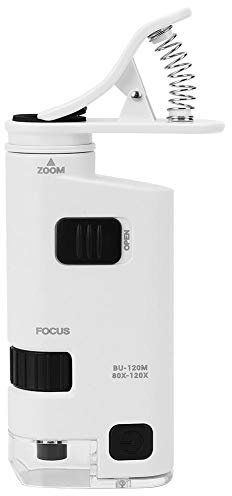 Mikroskop Lupe,Handy Mikroskop Objektiv mit 80-120-fach Einstellbarer Zoom-LED Handy-Mikroskop Mini-Smartphone-Objektiv Lupe Vergrößerungsmuschel