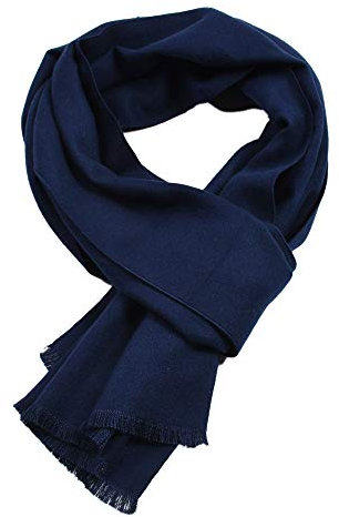 FAIRYGATE Herren Schals Warm und Elegant Herren Langer Winter Warme Schal für Herren 12227