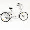 26 Zoll 3 Räder Dreirad für Erwachsene mit Einkaufskorb 6 Gäng Fahrrad Trike Behindertenrad mit Einkaufskorb Weiß