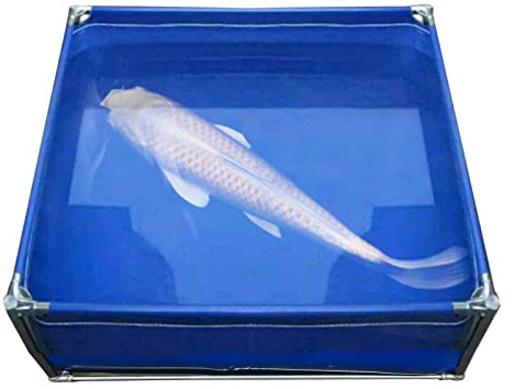 Kit per laghetto per pesci rialzato, tela resistente con telaio in acciaio, piscina fuori terra per giardino, terrazza, cortile, fattoria, balcone, ideale per pesci e piante acquatiche