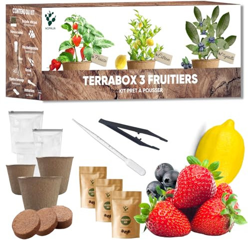 Kit Mini Fruitiers Prêt à Pousser – Fraise, Myrtille & Mini Citronnier – Graines Bio – Cadeau Insolite DIY – Jardin Intérieur & Extérieur – Décoration Écologique – Made in France