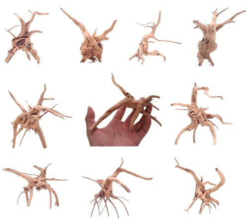 YZHZOM 8pcs Natural Small Spiderwood Driftwood for Aquarium Decor Aquarium Driftwood Freshwater Reptile Driftwood Aquarium spiderwood (spiderwood 5-6inch 8pcs)