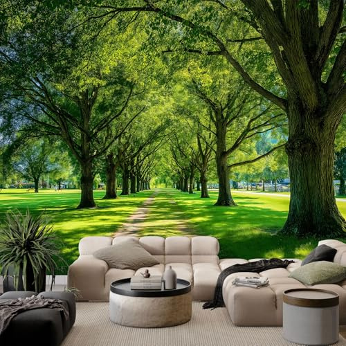 Carta da parati con paesaggio naturale forestale stradale per soggiorno verde murale arte per camera da letto decorazione poster – carta da parati fotografica in tessuto non tessuto di alta qualità