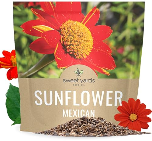 Mexican Sunflower Seeds – Extra Large Packet – Over 2,500 Open Pollinated Non-GMO Wildflower Seeds – Tithonia rotundifolia