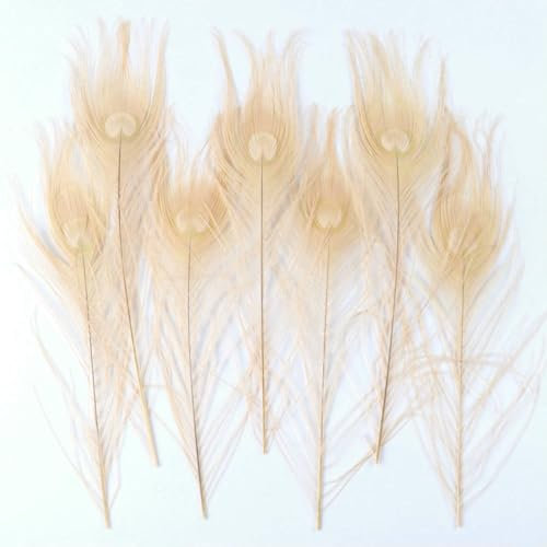 10Pcs Dyed Peacock Feathers for Crafts Big Eyes Peacock Decor Feather DIY Jewelry Making Home Vase Decoration Feathers Ornament