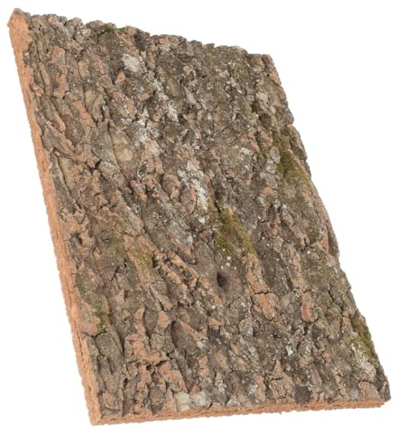 UPKOCH Corteza De Corcho para Reptiles Diseño Natural, Plataforma para Lagartos y Fondo Decorativo para Acuarios De Reptiles En Hábitat Simulado