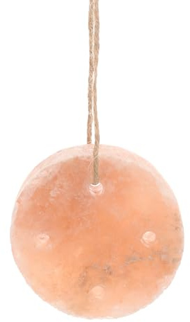 TOYANDONA Blocco di Sale da Leccare per Piccoli Animali 8x2 Cm, Minerale Naturale per Conigli e Criceti, Integratore Minerale Sicuro e Riutilizzabile per Animali Domestici