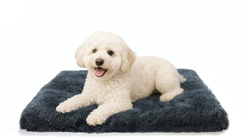 DONWEI Hundebett Flauschig, Orthopädisches Hundebett, Hundekissen Waschbar, Langem Plüsch Hundematte mit Abnehmbarer Deckel, rutschfest Hundematratze für Kiste, 50x40x4CM, Dunkelgrau