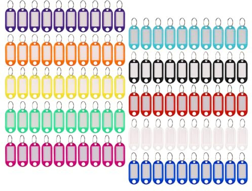 JIANTA Llaveros de Plástico, 100 Etiquetas para Llaves de Plastico, , 10 Colore, Llavero Etiquetar, Llaveros con Anillo para Escribir para Llaves, Mascotas, Hoteles, Equipaje