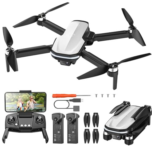 Holy Stone FPV Drone with 1080P HD Camera for Beginner Adults and Kids, HS280D Foldable RC Quadcopter with Brushless Motor, Optical Flow, Tap Fly, Voice Control, Gesture Selfie, 2 Modular Batteries