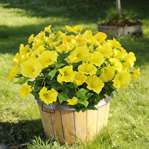Aisamco Fiori Artificiali, 6 Mazzetti di Fiori di Ipomea Finti in Seta Resistenti ai UV, per Decorazione Interna ed Esterna, Vaso Casa, Portico, Patio, Giardino, Balcone (Giallo)
