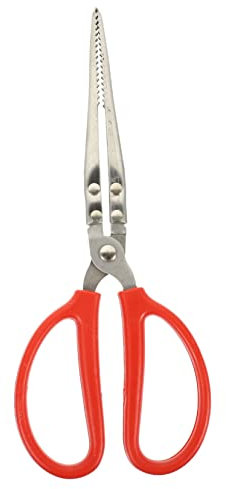 GLEAVI Pinza Per Forbici Da Granchio e Anguille 27cm in Acciaio Inossidabile Impugnatura Antiscivolo, Strumento Leggero Per Raccogliere Molluschi Sulla Spiaggia e in Campeggio