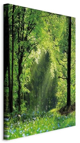 murando - Quadro Acustico Foresta Luminosa e Verde 40x60 cm 1 Pezzo - Stampa su Tela Schiuma Acustica - Quadri Fonoassorbenti Moderni Protezione dai Rumori - Sala Conferenze c-C-0417-b-a