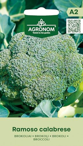 AGRONOM | Brocoli Graines RAMOSO CALABRESE | Graines de légumes | Planter des graines | Graines de brocoli | Variété à haut rendement, saveur douce, grande inflorescence | 1 paquet