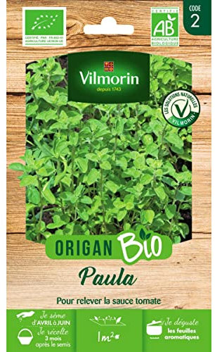Vilmorin Sachet graines Origan Paula Bio - Origanum vulgare