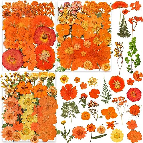 30 Typen 144 Stück Orange Getrocknete Gepresste Blumen für Harz - YouthBro Echte Naturblumen Kräuterset für DIY Schmuck, Kerzen, Seifen, Vasenherstellung, Nagelkarten, Scrapbook-Kunsthandwerk