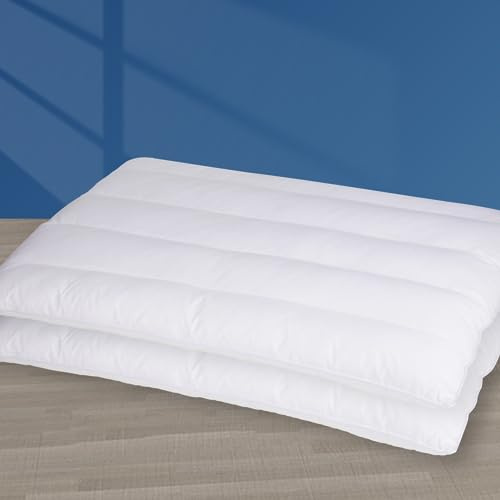 MINUPWELL 2 Packs Ultra Flat Pillows for Sleeping Thin, 7D High Support 2.5 inch Height Ultra Thin Pillows,Slim Bed Pillows for Stomach Sleeper,Standard Size -18x26 in