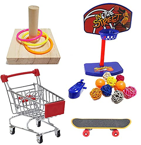 Petyoung Juego de 4 Piezas de Juguete de Inteligencia para Entrenamiento de Aves Que Incluye Anillos de Entrenamiento de Carretilla Monopatín de Baloncesto Juguete de Mordida de Loro para