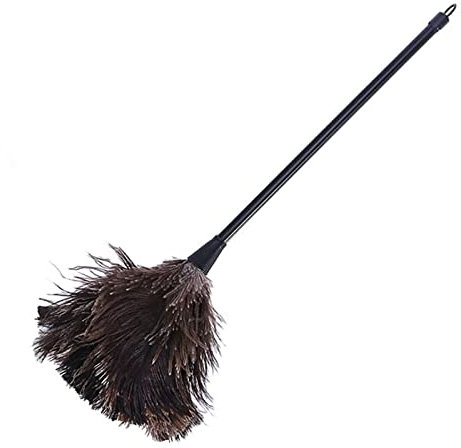 Riiichflowshop Spazzola per la Pulizia dello spolverino di Struzzo con rimozione della Polvere del Computer con Manico Lungo